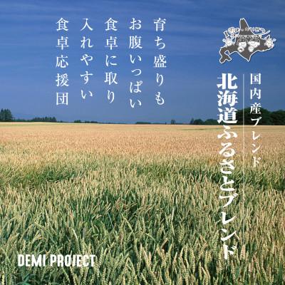 ふるさと納税 旭川市 令和8年産 北海道ふるさとブレンド米 5kg 精米 DEMI PROJECT _06570 |  | 01