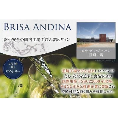 ふるさと納税 韮崎市 白ワイン　ブリサ・アンディーナ ソーヴィニヨンブラン　500ml 12本セット |  | 01