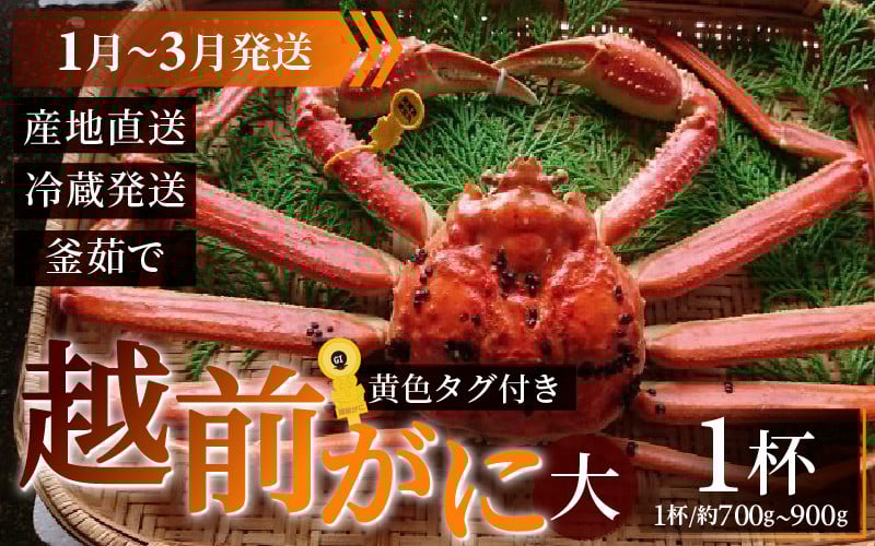 
            【先行予約】越前がに 大 (約700g～900g)×1杯【1月～3月発送】
          