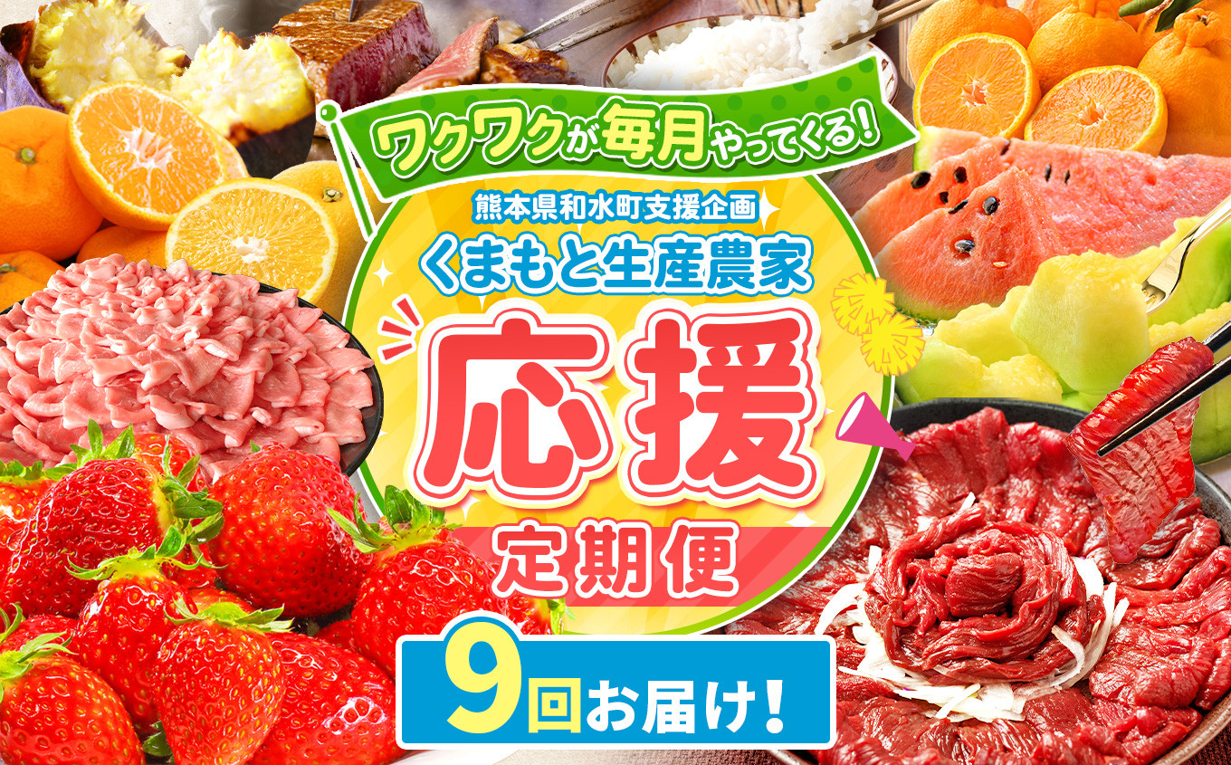 
            【 定期便 9回 】支援 企画 ！ くまもと 生産 農家 応援 定期便 ！ | 熊本県 熊本 くまもと 和水町 なごみ町 なごみ いちご スイカ 小玉 牛肉 あか牛 赤牛 肥後 ステーキ みかん ミカン 蜜柑 定期便 
          