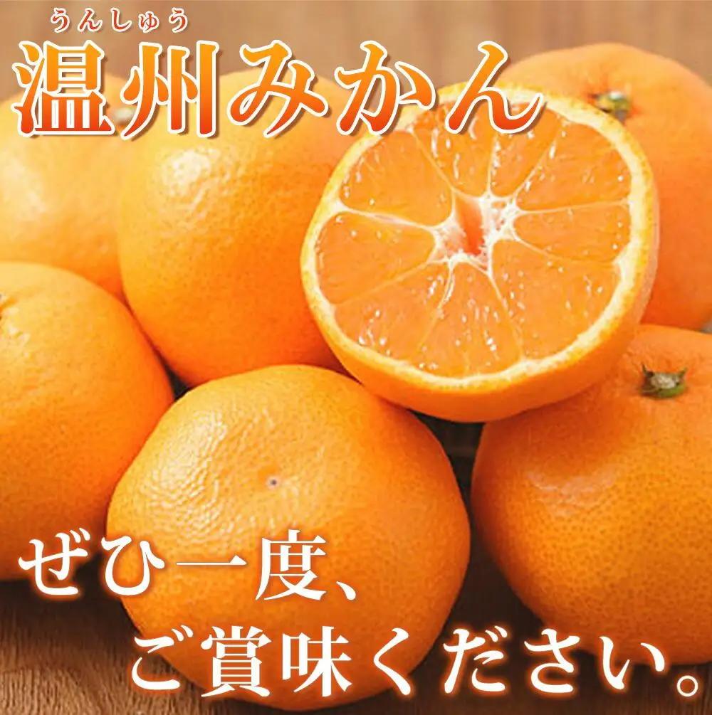 赤秀品　紀州有田産濃厚完熟温州みかん　3kg（ＭサイズまたはＳサイズ）［2026年11月下旬以降発送］［先行予約］［UT12］