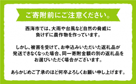 【数量限定】【訳あり】 ロザリオビアンコ約2kg（4房～6房）＜岡本　満博＞ [CEN002]