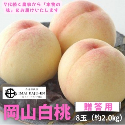 
                  ＜2026年発送＞岡山県産白桃　8玉・約2.0kg(クール便)_白桃 桃 もも モモ 2kg 8玉 クール便 贈答 果物 くだもの フルーツ デザート 岡山県 津山市 産直 産地直送 ギフト プレゼント 送料無料【1614349】
                
