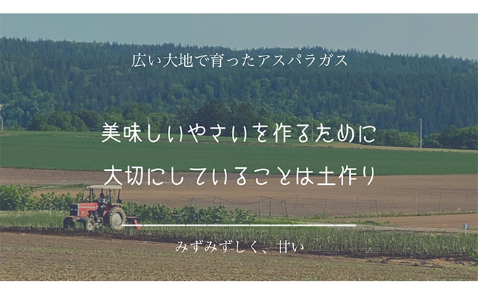 ［武田農園とれたて直送］訳あり グリーンアスパラ M～2Lサイズ混合 約2kg ご家庭用 やわらかくて抜群に甘い！北海道 富良野産 ( アスパラガス アスパラ 野菜 新鮮 産地直送 先行予約 限定 )