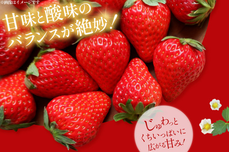 【いちご】いちご フルーツ あまおう 250g 3P 3回 総計 9p 【期間限定発送】