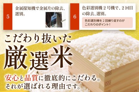 《定期便10ヶ月》5kg（5kg×1袋）大手有名百貨店出荷米 あきたこまち【白米】令和8年産 米 お米 《新米先行受付》