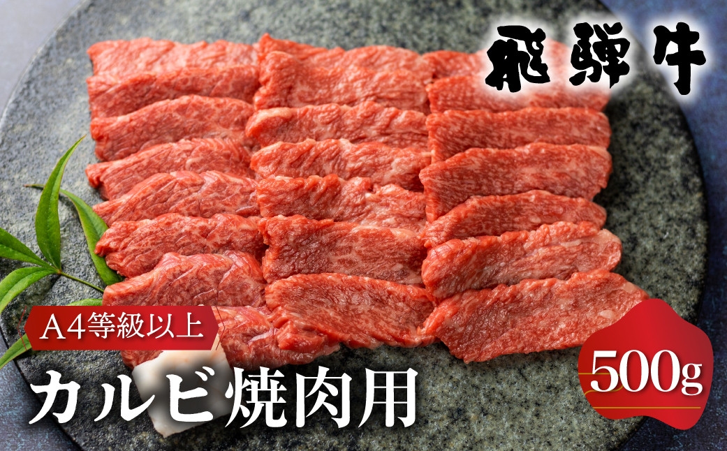 
                  飛騨牛 カルビ 肩バラ肉 焼肉用 500g A4等級以上 霜降り 国産 冷凍 ｜ 飛騨牛 焼肉 牛肉 焼肉 飛騨牛 焼肉 霜降り 牛肉 焼肉用 焼肉 セット 飛騨牛 霜降り 牛肉 霜降り 和牛 国産牛 飛騨牛 牛肉 焼き肉 バーベキュー BBQ 飛騨牛 霜降り ブランド牛 A4 A5 牛肉 霜降り ギフト 贈答 プレゼント キャンプ アウトドア 世界遺産 白川郷 [S335]
                