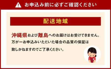 二戸産 さくらんぼ 【紅秀峰】 約500g 【2025年7月中旬発送開始】 ／サクランボ フルーツ 果物 くだもの チェリー