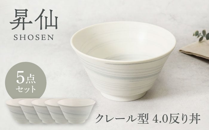 
                  【美濃焼】昇仙 しょうせん クレール型 4.0反り丼 5点セット【カネ定製陶】 [MEI232]
                