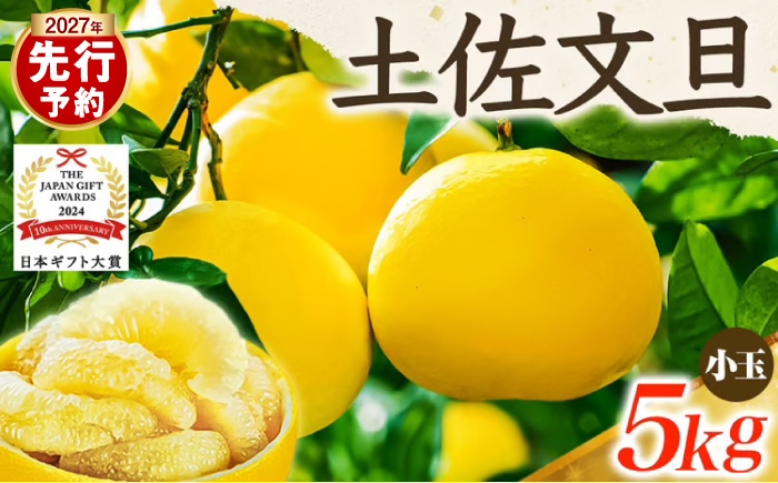 
                  【先行予約】【日本ギフト大賞2024受賞】 園主こだわりの土佐文旦 約5kg 小玉（L～Mサイズ） 文旦 ぶんたん 土佐 柑橘 国産 フルーツ お取り寄せ ギフト 先行予約 高知県 土佐市【やの一果彩】[BQAC017]
                