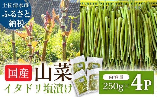 イタドリの塩漬け 250g×4パック 1kg 1キロ 山菜 いたどり 下処理済み 野菜 春の食材 虎杖 スカンポ イタズリ 炒め物 食品 お取り寄せ 真空 冷凍 配送【R01449】