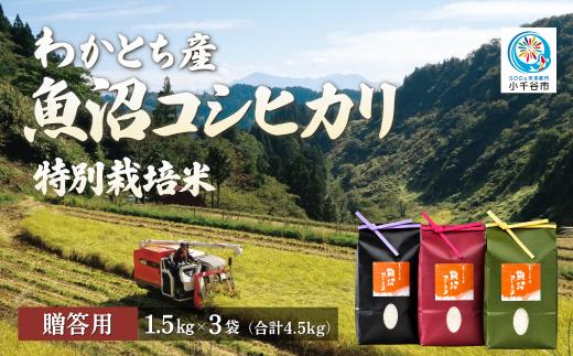 【贈答用 コシヒカリ 4.5kg】令和8年産 新米 先行予約 魚沼産コシヒカリ 特別栽培米 わかとち産 棚田米 精米1.5kg×3袋 Mt.ファームわかとち | 魚沼産こしひかり 魚沼コシヒカリ 新潟県産コシヒカリ 新潟産コシヒカリ こしひかり 特別栽培米 棚田米 わかとち 贈答 ギフト お米 米 白米 精米 にいがた おぢや 新潟県 小千谷市 【0013-0004】