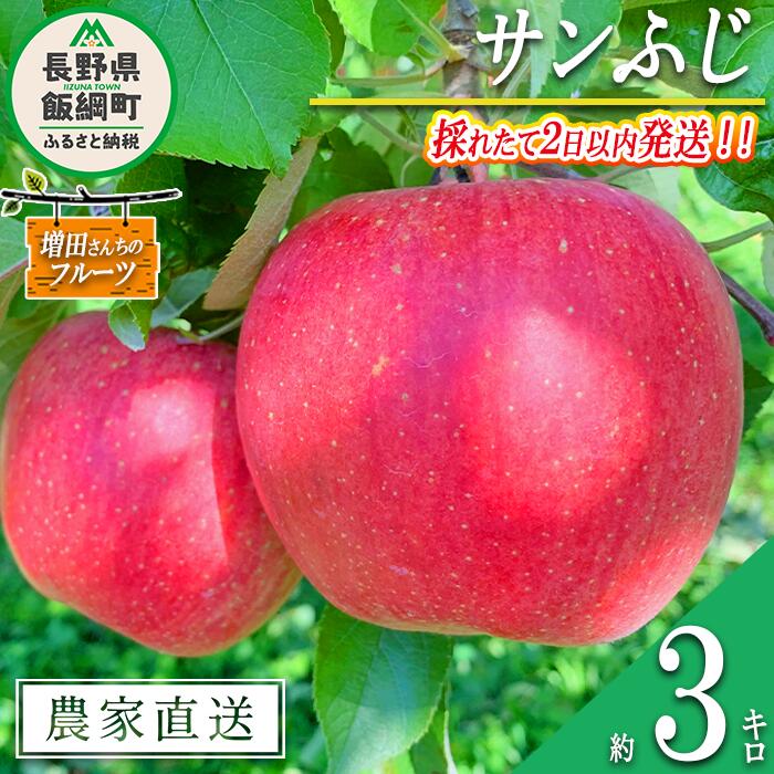 【ふるさと納税】 りんご サンふじ 家庭用 3kg 採れたてを発送 増田さんちのりんご 沖縄県への配送不可 令和7年度収穫分 長野県 飯綱町 〔 信州 果物 フルーツ リンゴ 林檎 長野 予約 農家直送 13000円 〕発送時期：2025年11月下旬〜2025年12月上旬