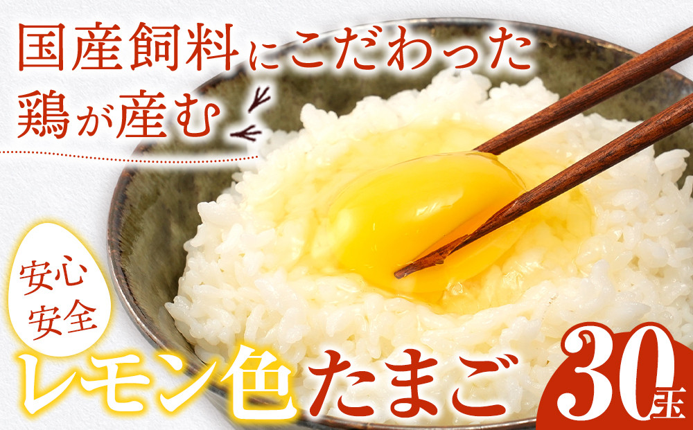 国産飼料にこだわった鶏が産む安全安心の 『レモン色たまご』1パック（10個入り）×3