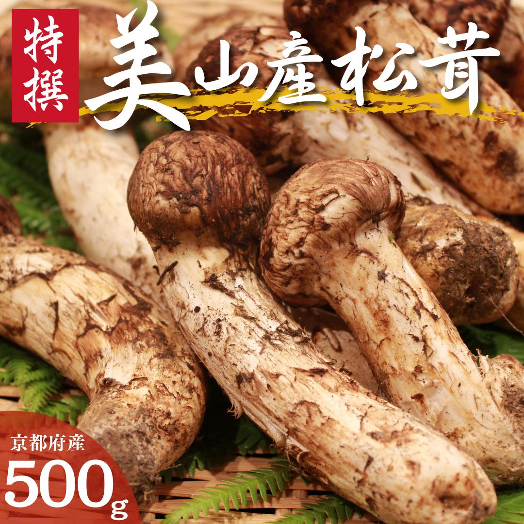 松茸 【 数量限定 】 京都 丹波産 天然 まつたけ 500g 国産 南丹市 マツタケ 松茸ご飯 土瓶蒸し 焼き松茸 秋の味覚 高級 ごちそう ご褒美 贈答 ギフト プレゼント 冷蔵