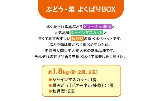 ≪ 種なし ≫ シャインマスカット ・ おまかせ黒ぶどう ・ 秋月 約 1.8kg [よくばりBOX] (茨城県共通返礼品:かすみがうら市) 2026年 マスカット ぶどう 葡萄 ブドウ フルーツ 果