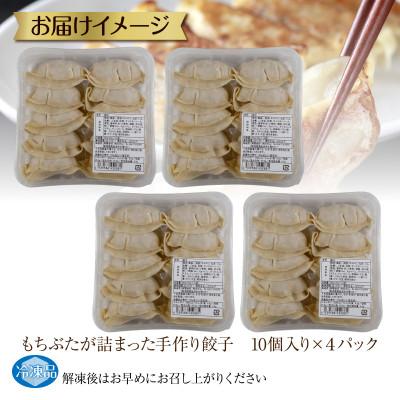 ふるさと納税 南魚沼市 和豚 もちぶたが詰まった 手作り餃子 10個入り×4袋 計40個 冷凍 |  | 03
