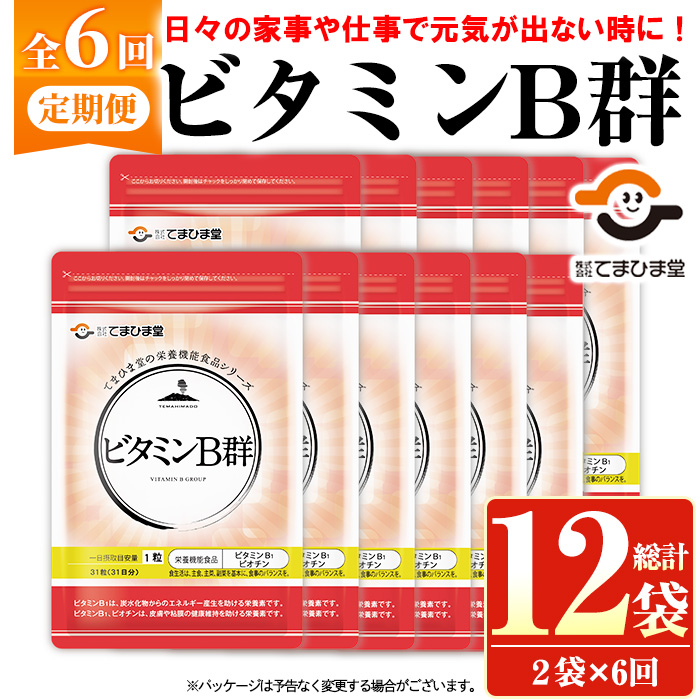 No.1300-B ＜定期便・全6回(隔月)＞ビタミンB群(1袋31粒入/2袋×6回・計12袋) 鹿児島 日置市 健康食品 サプリ 栄養バランス 食生活 安心安全 ビタミン 定期便 【てまひま堂】