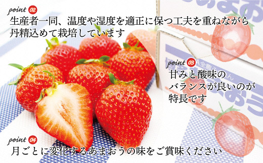 【2027年2～4月発送】博多あまおう4パック3回定期便 約1kg×3回[H5342]