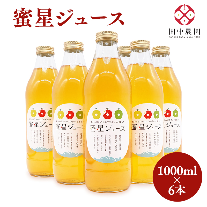  100年の歴史 蜜星ジュース 1L×6本 林檎 林檎ジュース フルーツ 果物 アップル 青森県 平川市 平川市産 お取り寄せ 果汁 100% リンゴジュース ジュース 贈答 オリジナル ミックス 飲