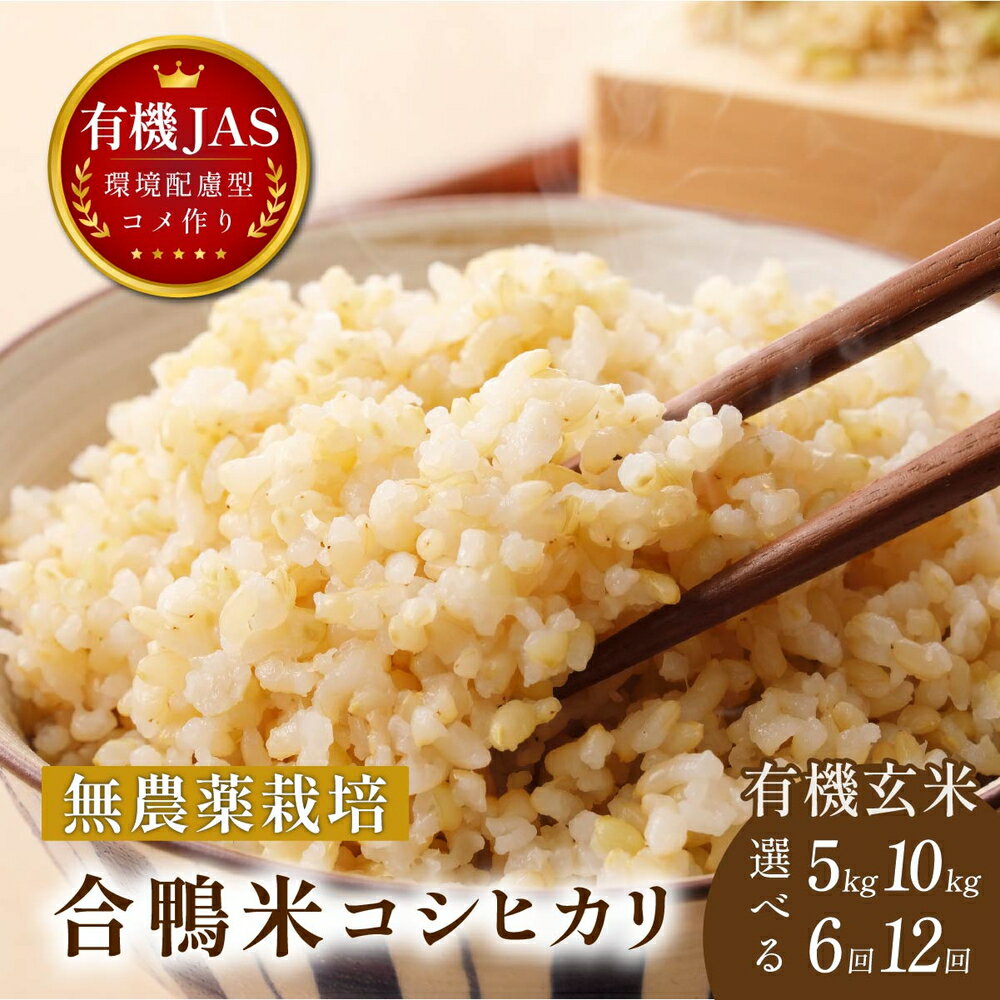 【ふるさと納税】【定期便】〈令和8年産早期予約〉有機米 コシヒカリ【有機JAS認定 無農薬】 玄米 （5kg/10kg　6回/12回）選べる | 兵庫県 丹波篠山市 丹波篠山 お米 米 コメ こめ こしひかり 安全・安心 有機栽培　無農薬 有機JAS 農家直送 あいがも 合鴨農法