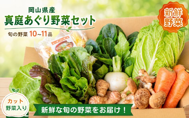 真庭あぐり野菜セット 10～11品 便利なカット野菜入り / 産地直送 農家 お試し 岡山県 新鮮 あぐりガーデン 国産 【配送不可地域：北海道／沖縄県／離島】 【jujy047-01】
