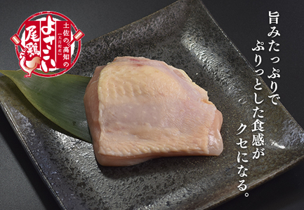 【定期便 6回】よさこい尾鶏 むね肉(230～280g×4パック)