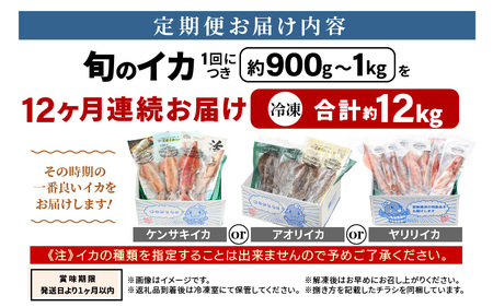 おまかせ定期便 《12ヶ月連続お届け》 計約12kg イカ 三昧！ その時期の一番良いイカをお届けします 急速冷凍 活〆 刺身 ヤリイカ ケンサキイカ アオリイカ 【いか 烏賊 若狭湾 地物 海産物 