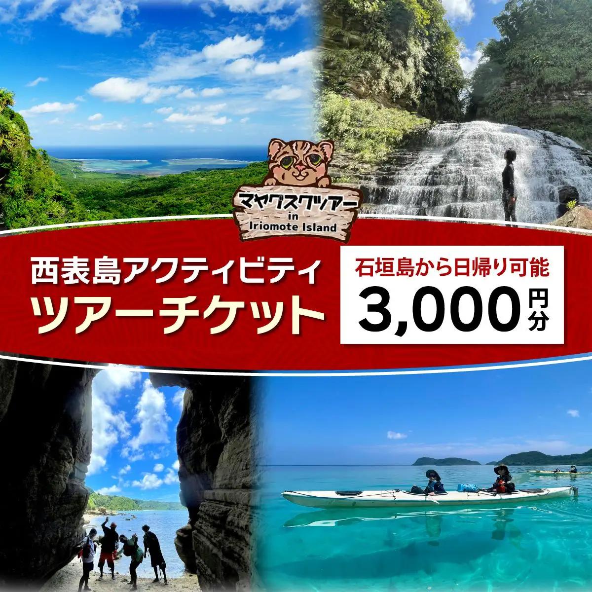 旅行券 沖縄 チケット 西表島 アクティビティ ツアーチケット 3,000円 旅行 旅行 体験 観光 