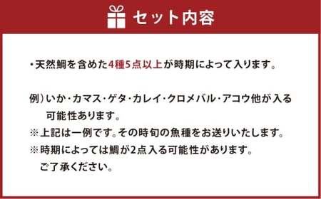 【倉敷市下津井産】おまかせ一夜干し5点セット 4種 天然鯛 干し魚 一夜干し 干物 魚 魚介 海産物 詰め合わせ 食べ比べ セット 岡山県 倉敷市