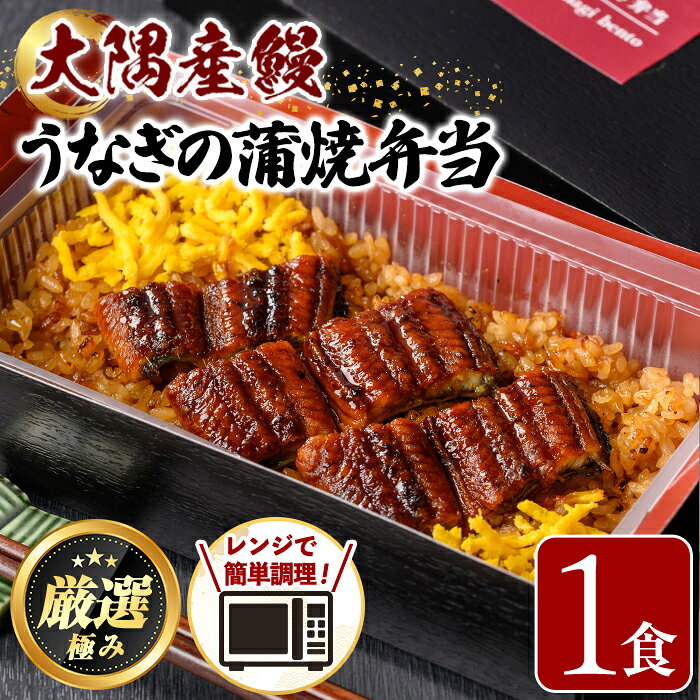 【ふるさと納税】＜おためし＞大隅産鰻の冷凍弁当(冷凍品)(1食分・計240g タレ、山椒付) うなぎ 高級 ウナギ 鰻 うなぎの蒲焼 蒲焼 国産 ごはん ご飯 お米 おかず 鹿児島 ふるさと レンチン 電子レンジ 【南嘉起屋】