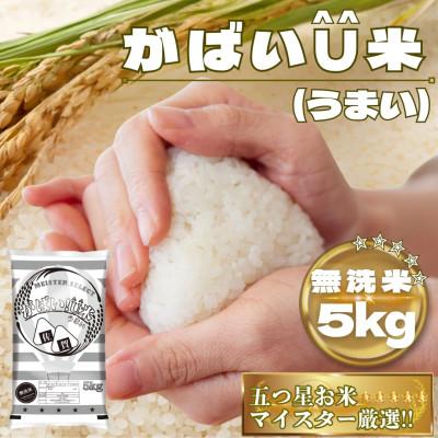 ふるさと納税 鳥栖市 がばいU米(うまい)【無洗米】5kg(鳥栖市)