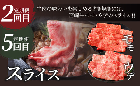 6か月お楽しみ定期便『宮崎牛よくばりセット』総重量4.8kg 肉 牛 牛肉 おかず 国産_T030-184