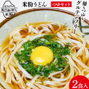 【ふるさと納税】 グルテンフリー 米粉うどん & つゆ 2食入り [大北農業協同組合 長野県 池田町 48110504] 米粉 麺 国産 うどん 半生麺 アレルギー対応 常温 長期保存 保存食 ポスト投函