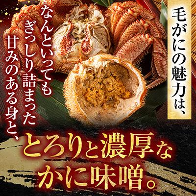 ふるさと納税 根室市 毛がに350g×2尾 A-54011 |  | 01