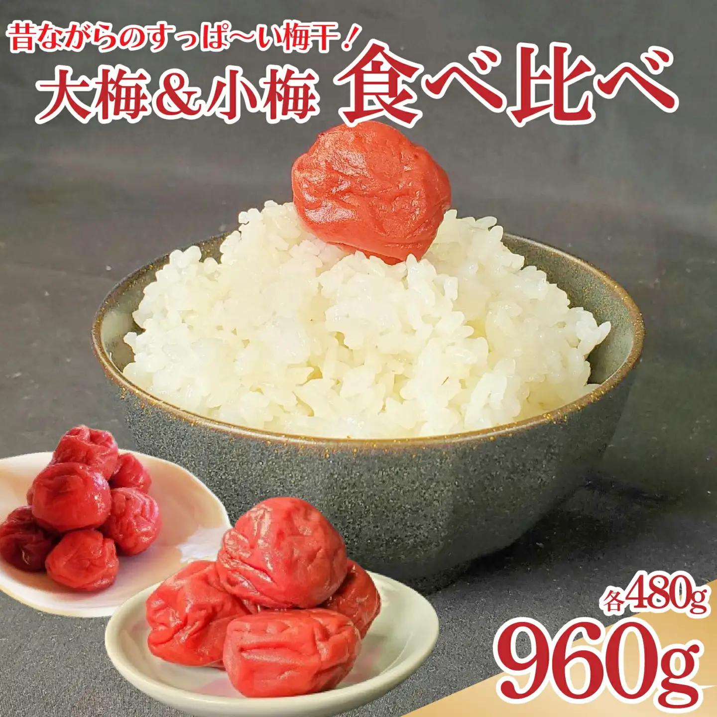 梅干 大梅 小梅 各480g 《 2025年10月～出荷 》 梅干