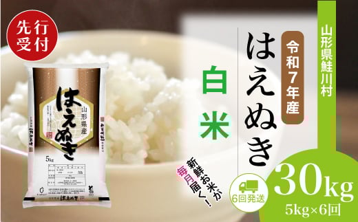 
            ＜令和7年産米先行受付＞ 鮭川村 はえぬき 【白米】 定期便 30kg （5kg×1ヶ月間隔で6回お届け）＜配送時期選べます＞
          