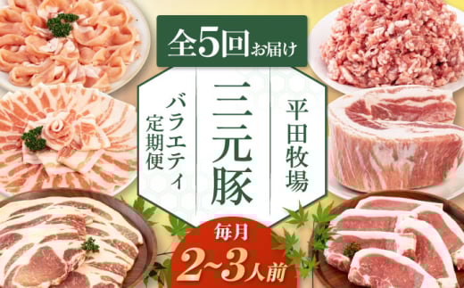 【全5回定期便】 三元豚 バラエティ定期便（2~3人前）《喜茂別町》【平田牧場】 肉 豚肉 ロース バラ肉 ステーキ セット 定期便 [AJAP126]