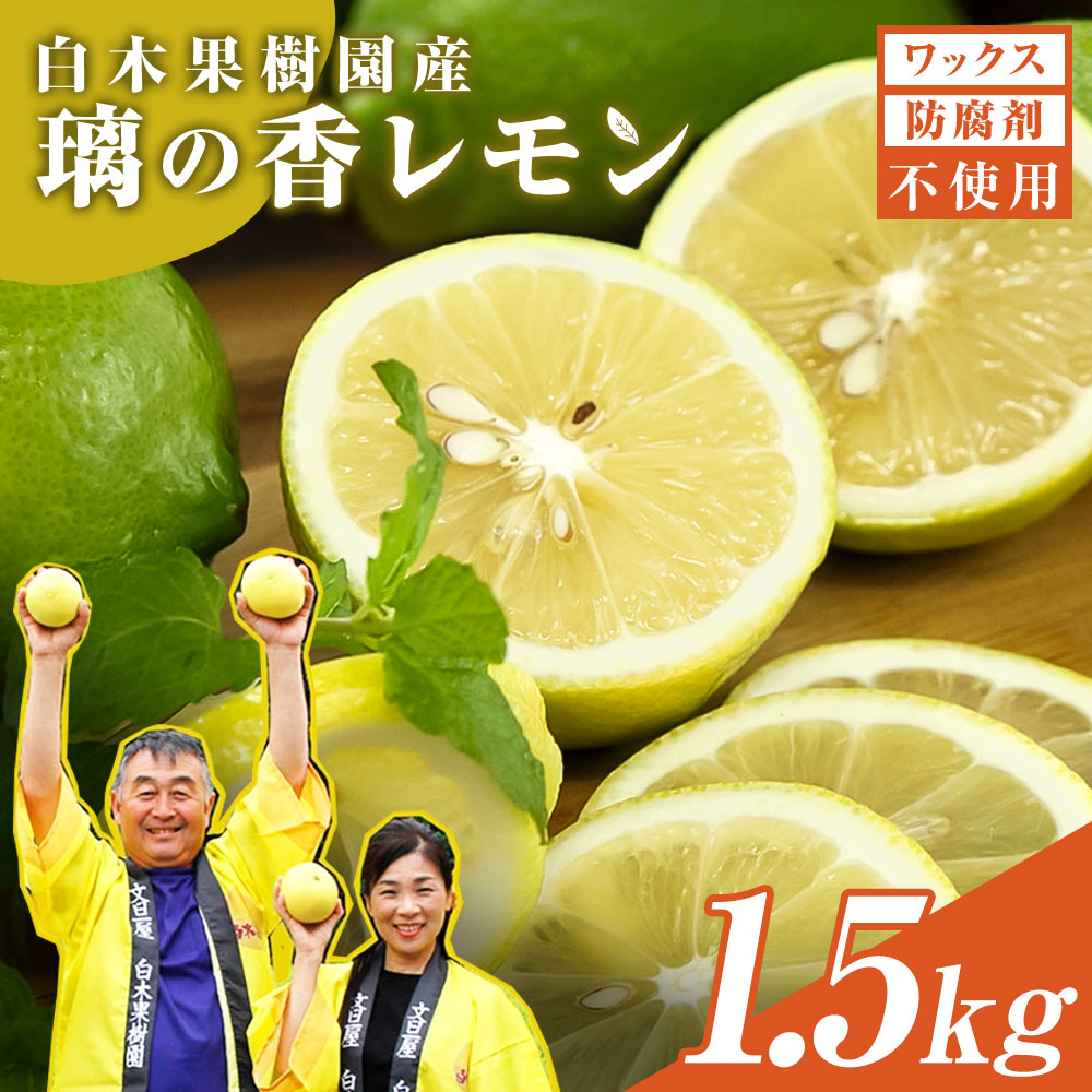レモン 約1.5kg 4～7個 璃の香レモン 果物 くだもの 柑橘 フルーツ れもん お取り寄せ 産地直送 おいしい 美味しい 白木果樹園 常温 配送 高知県 高知 土佐市
