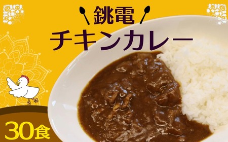 銚電 チキンカレー 30食 レトルトカレー 銚子電気鉄道
