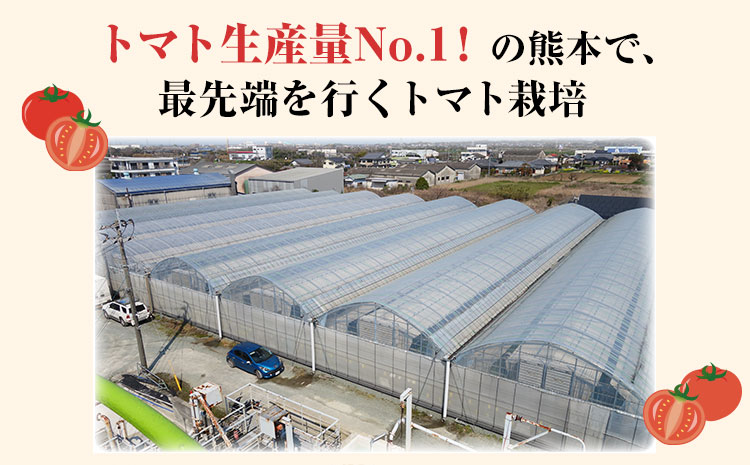 超絶トマットロケチャップ(200g×4個) 《45日以内に出荷予定(土日祝除く)》 四ツ山食品