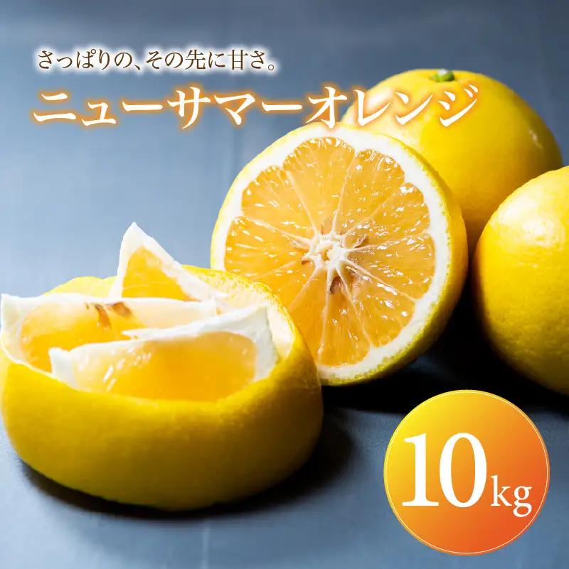 ニューサマーオレンジ 家庭用 10kg 【2027年4月中旬頃から順次発送】 | みかん ミカン mikan 蜜柑 訳ありフルーツ 柑橘 果物 おすすめ お勧め お取り寄せ ギフト 愛媛県 松山市 【MKN024】
