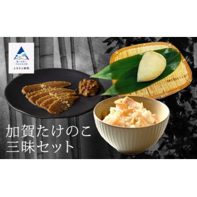 ふるさと納税 小松市 加賀たけのこ三昧セット 筍