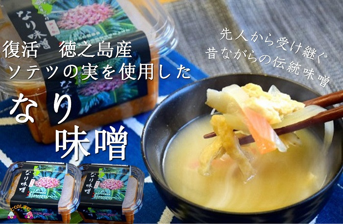 
                  1393～徳之島産ソテツの実を使用～昔ながらのなり味噌（無添加） ( 味噌 みそ 調味料 ソテツ 伝統 徳之島 奄美 鹿児島 文化庁 100年フード 郷土料理 美味しい )
                