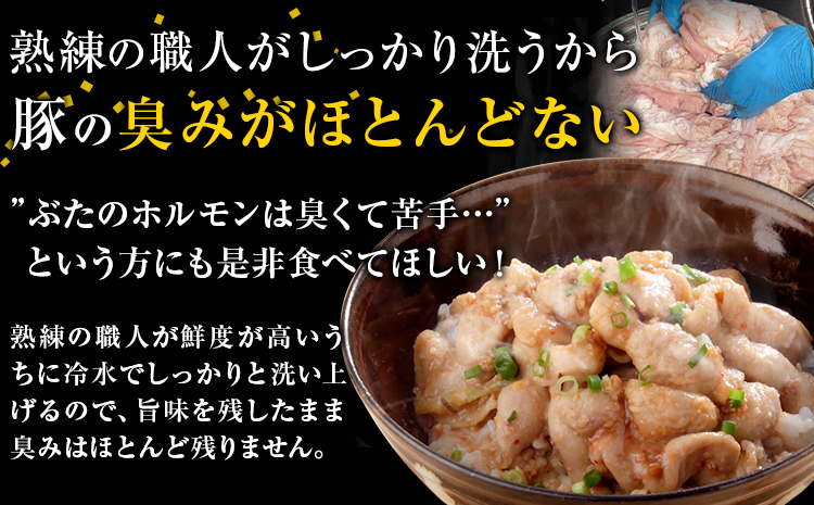 豚ホルモン とんちゃん 1.2kg (400×3袋) 独楽 送料無料《30日以内に出荷予定(土日祝除く)》 福岡県 鞍手郡 鞍手町 豚 ホルモン---skr_fkmtncn_30d_13000_120