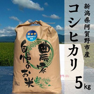 ふるさと納税 阿賀野市 【令和8年産新米先行受付】阿賀野市産 コシヒカリ 5kg
