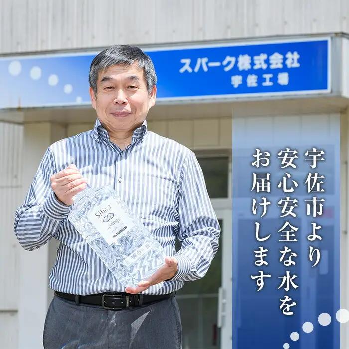 シリカスプリングス(計24L・500ml×48本)シリカ水 天然水 美容 健康 炭酸水素イオン 常温 常温保存 【114700800】【スパーク】