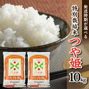 【ふるさと納税】≪新米予約≫ 特別栽培米 つや姫 5kg×2袋 計10kg 令和6年産米 山形県庄内産 ご希望の時期頃お届け 東北 山形県 酒田市 庄内地方 庄内平野 お米 精米 白米 ブランド米 庄内米 ごはん ご飯 農協 JA 発送時期が選べる