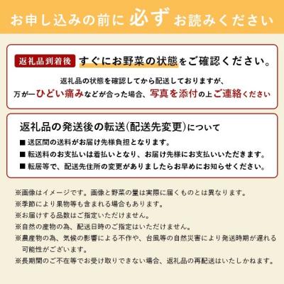 ふるさと納税 石垣市 沖縄県石垣島産新鮮やさいBOX 【 島の野菜 詰め合わせセット】1箱(定番・旬のお野菜6~8種類) |  | 03
