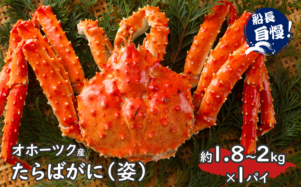 【予約：2026年12月から順次発送】オホーツク産 たらばがに 姿 1.8kg～2.0kg 冷凍 ( たらば タラバ カニ かに 蟹 魚介類 海鮮 北海道 旨味 一尾 )【114-0090】